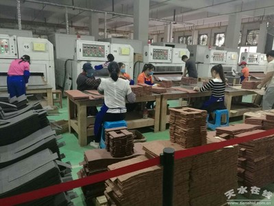 馬小龍赴廣東福美軟瓷等企業考察，推動產業合作與創新發展